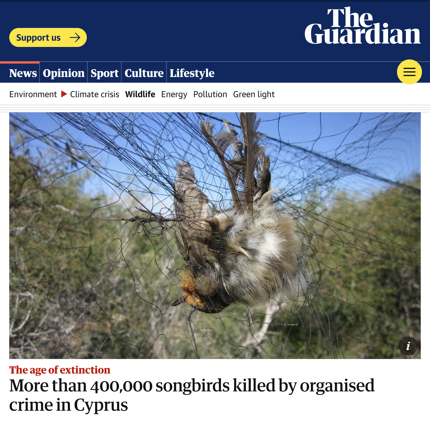 birds cyprus nets - Support us News Opinion Sport Culture Lifestyle Environment Climate crisis Wildlife Energy Pollution Green light The Guardian The age of extinction More than 400,000 songbirds killed by organised crime in Cyprus